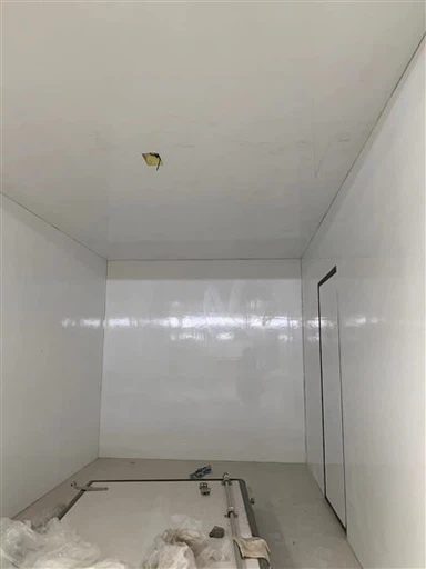 High Glossy FRP Gelcoat Panel Para sa Cold Room
